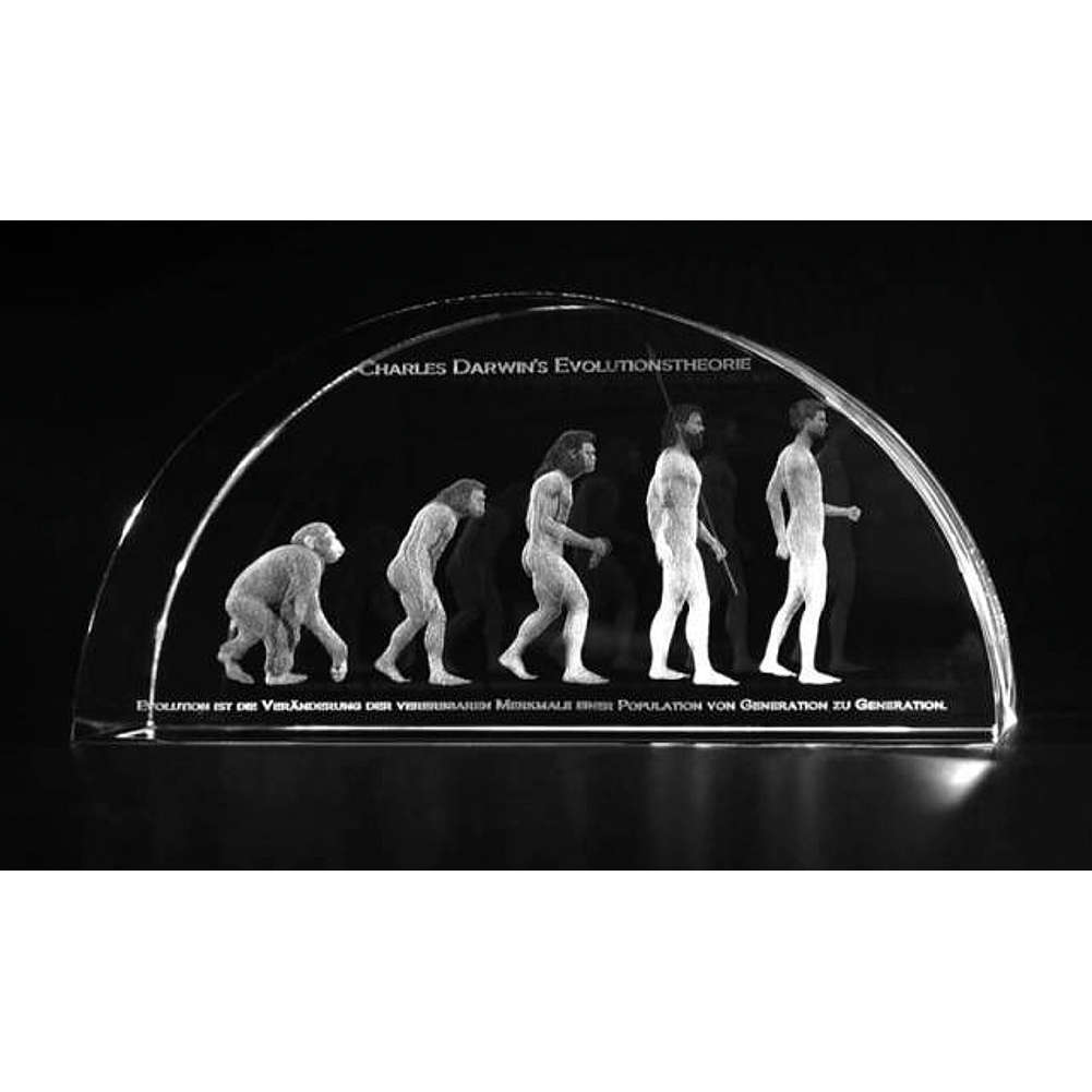 3-D-Modell in Glas, Darwin's Evolutionstheorie