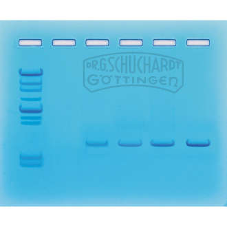 Set DNA-Amplifikation mittels PCR