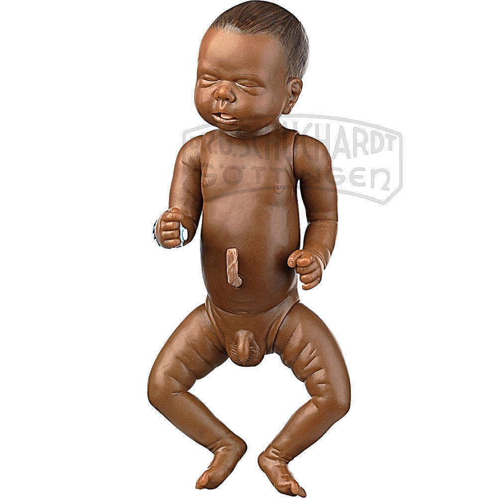 Neugeborenenbaby Modell SOMSO®