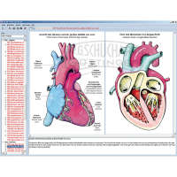LIEDER CD-ROM Herz Kreislauf & Atmung des Menschen
