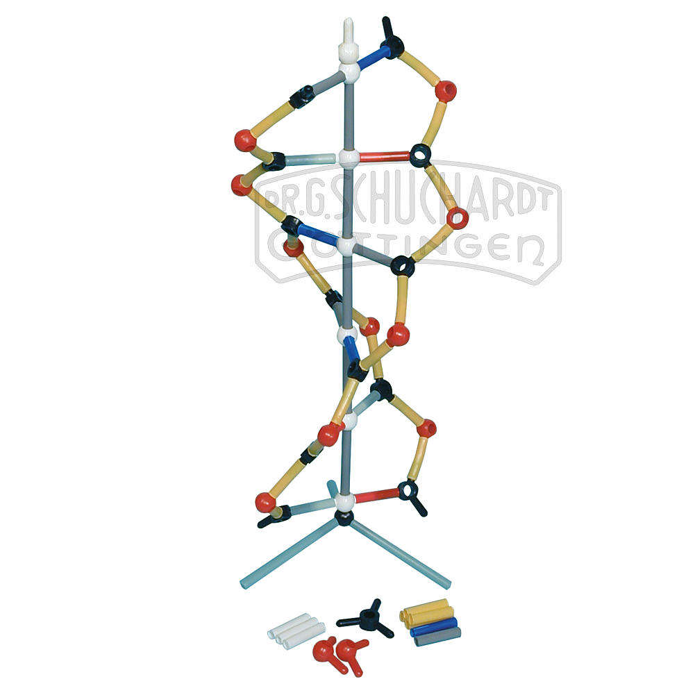 Orbit™: Kurzes DNA-Modell DeLuxe