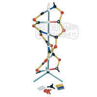 Orbit™: Kurzes DNA-Modell DeLuxe