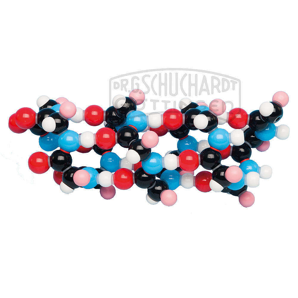 Alpha-Helix, 15 Peptide,  Molymod®