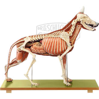 Schäferhündin Modell SOMSO®