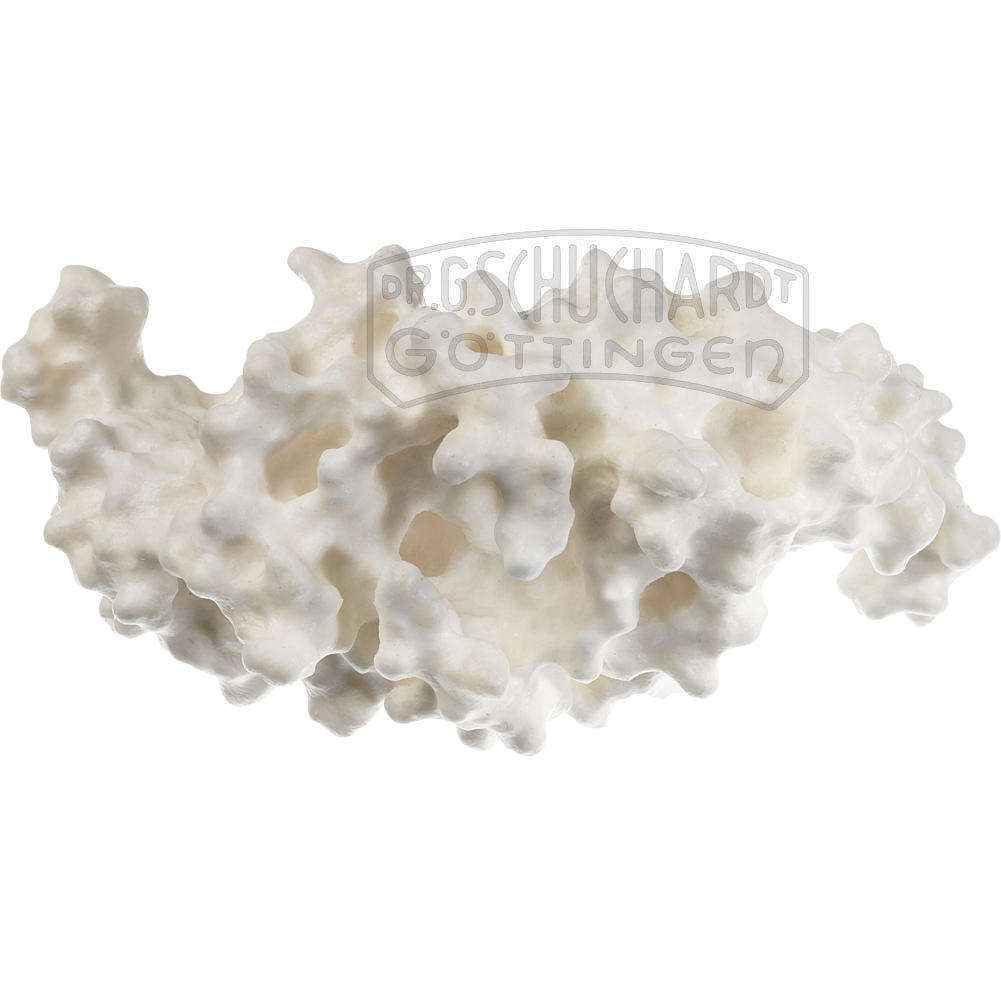 Protein Modell (humaner Knochenwachstumsfaktor BMP-2) Modell SOMSO®