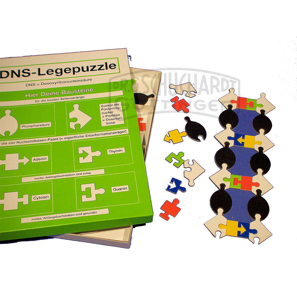 DNA-Legepuzzle