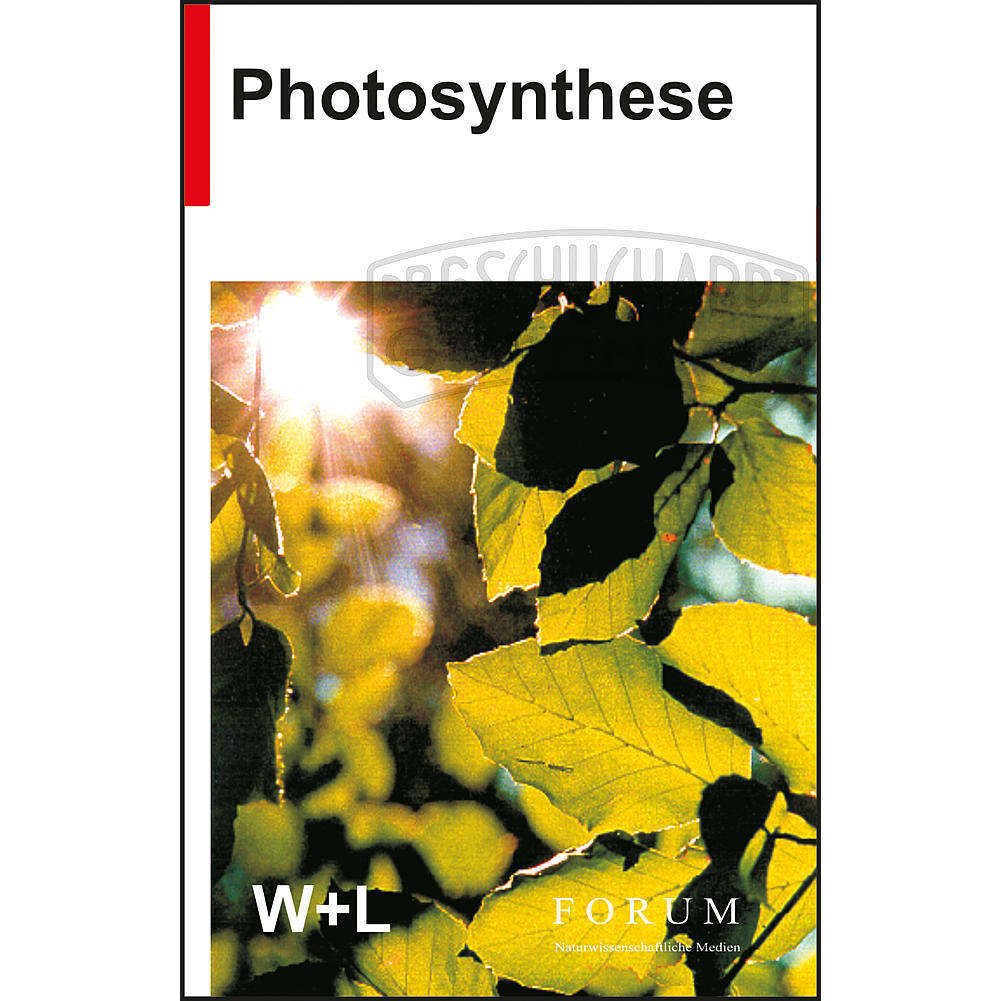 Lehrfilm: Photosynthese