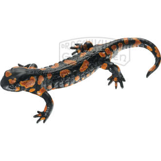 Gefleckter Feuersalamander  Männchen  rote Varietät Modell SOMSO®