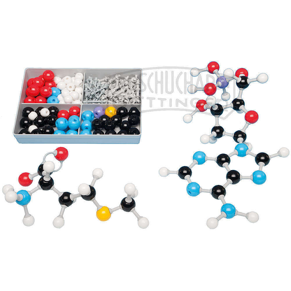 Molekülbaukasten Basic (Biochemie) MOLYMOD