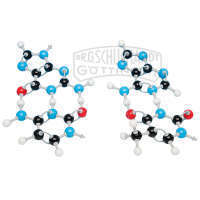 Molekülbaukasten Struktur der DNS MOLYMOD