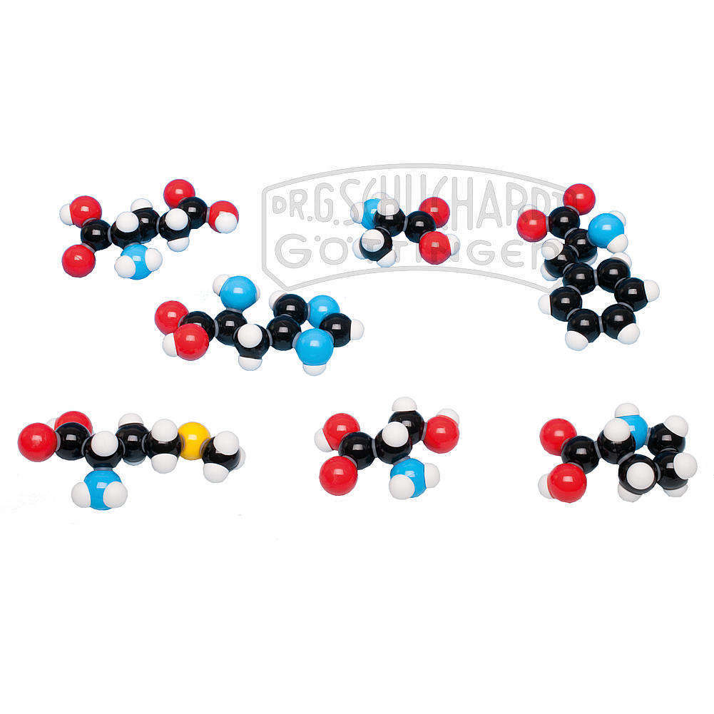 Aminosäuren, 7 Modelle,  Molymod®