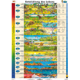 Wandtafel Entwicklung des Lebens