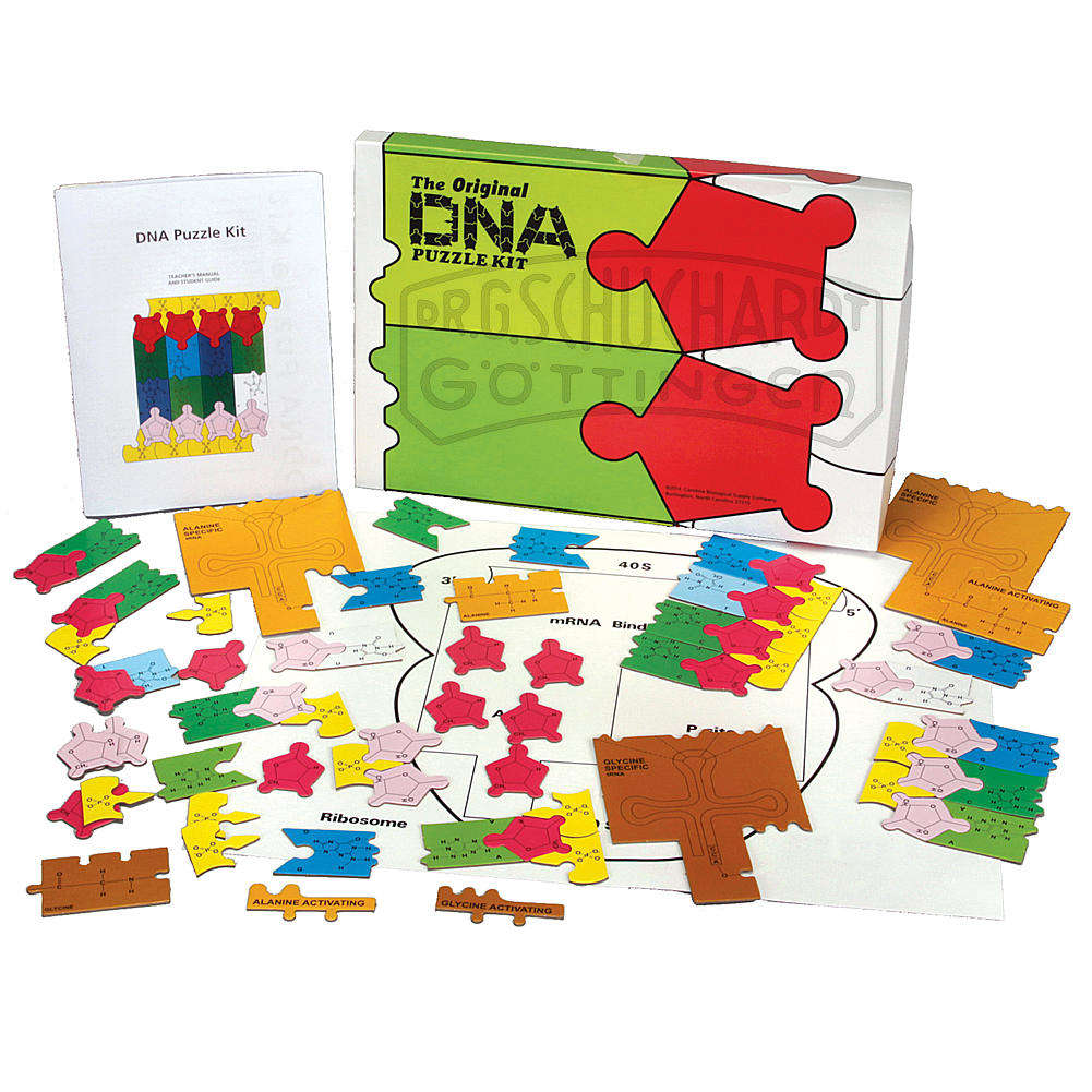 DNA-/RNA-Puzzle